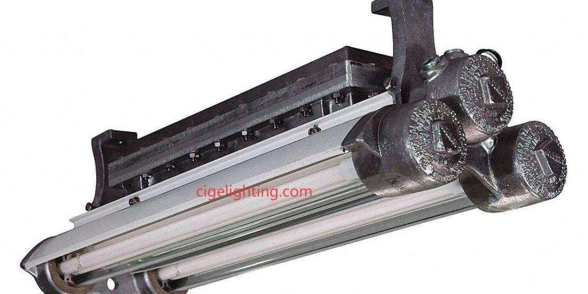 Authentically Built: Cigelighting 5ft Led Triproof Light