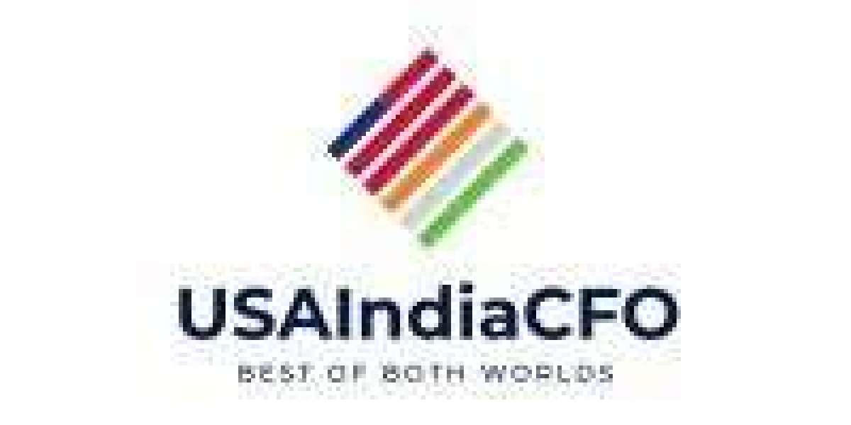 A Beginner’s Guide to Register Company in USA from India: How USAIndiaCFO Can Help