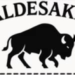 Aldesaka Leather Bag