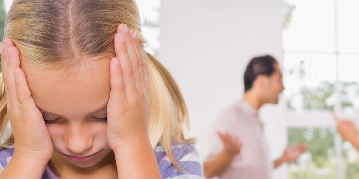 How Minnetonka Legal Experts Help Families Protect Their Future