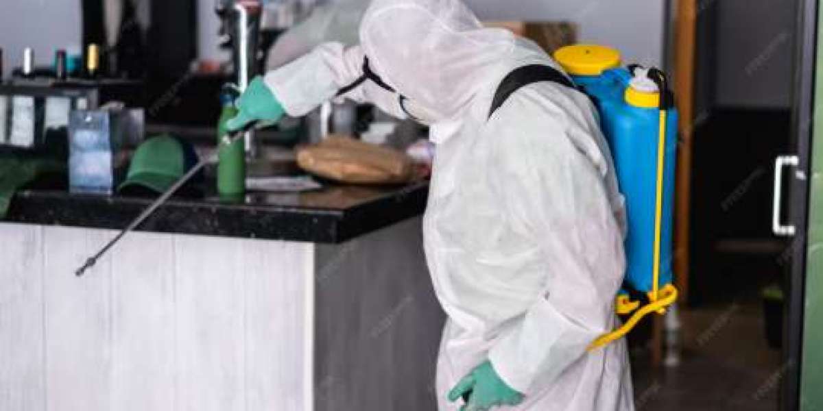 Pest Control Companies Las Vegas – Why Enviro Guard Pest Control Leads the Way