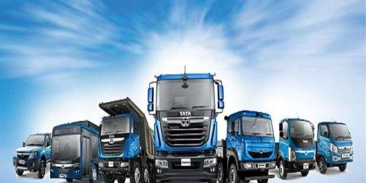 Truck bulkers vs. small vans in Nepal: Which one is more ideal for your business?