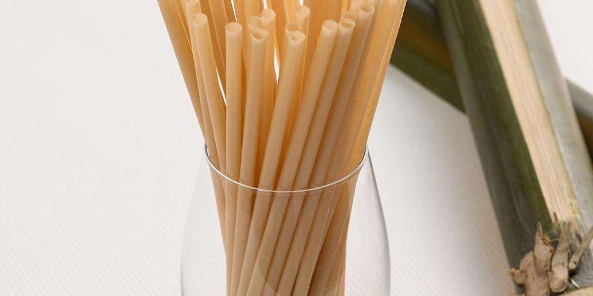 Innovative Design and Sustainability in Eco-Friendly Straws