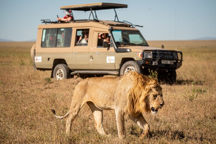 Which Tanzania Safari Parks Offer Night or Walking Safaris?