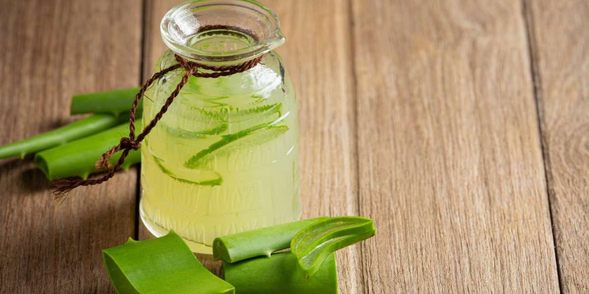 Aloe Vera Drink Market Set for Rapid Expansion as Wellness Beverages Gain Popularity