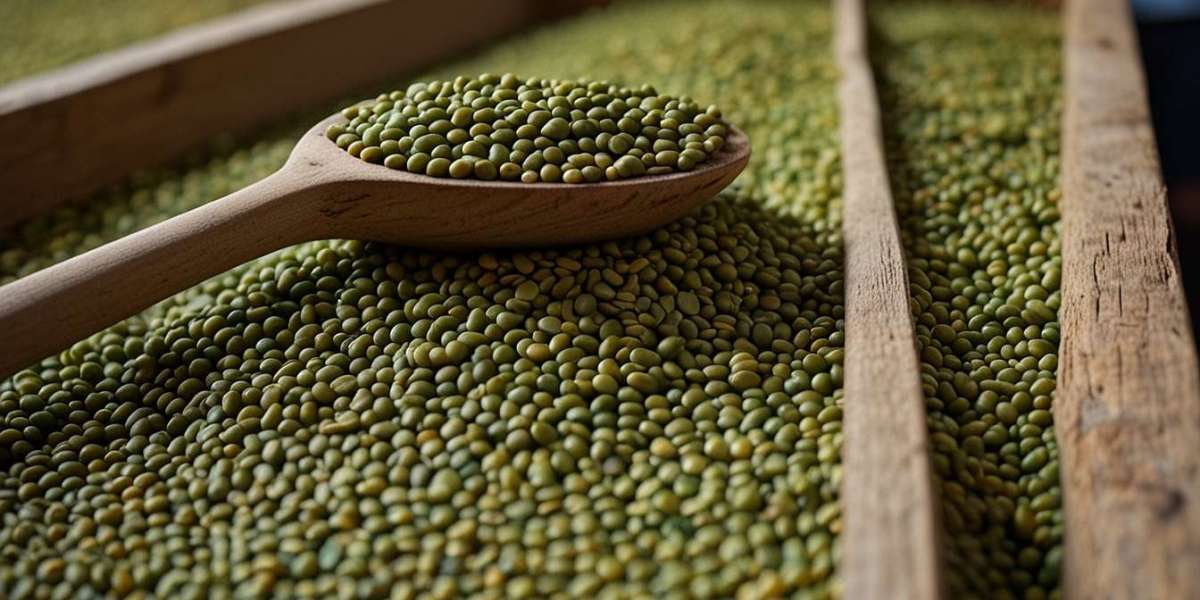 Mung Bean Processing Plant Setup 2025: Machinery Details, Industry Trends and Cost Involved
