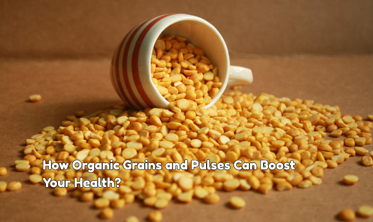 How Organic Grains and Pulses Can Boost Your Health?  | BuzzingAbout