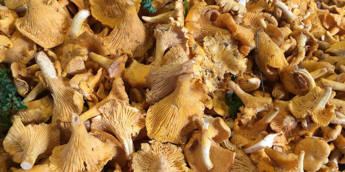 Bästa ställena att njuta av Kantarelltoast i Stockholm: En lokals guide