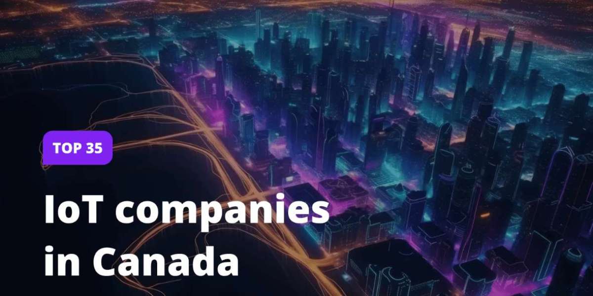 Beyond Benchmarks: Unveiling the Elite 25 Canadian IT Companies Driving Software Innovation
