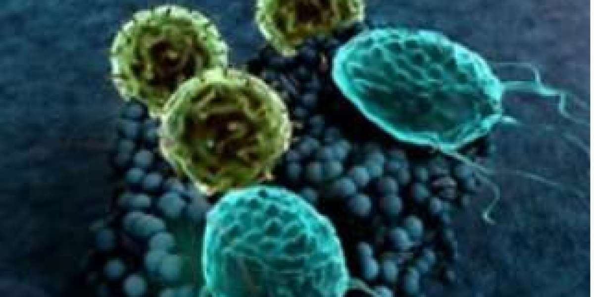 Unlocking the Power of Macrophages: A New Frontier in Drug Delivery and Immunotherapy
