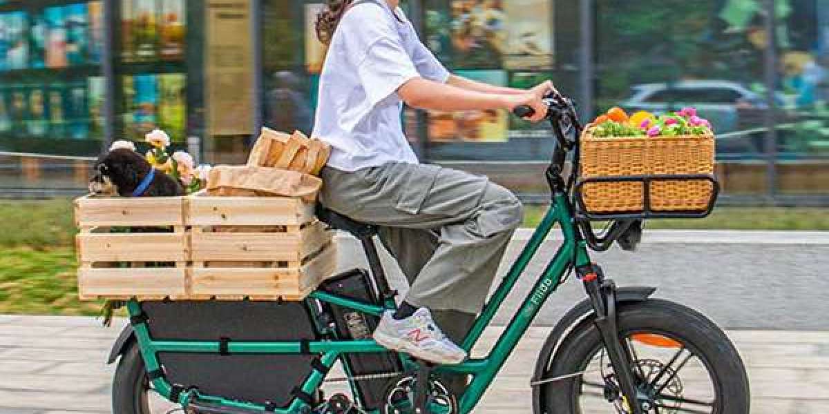 How to Maintain Your Electric Bike for Peak Performance?