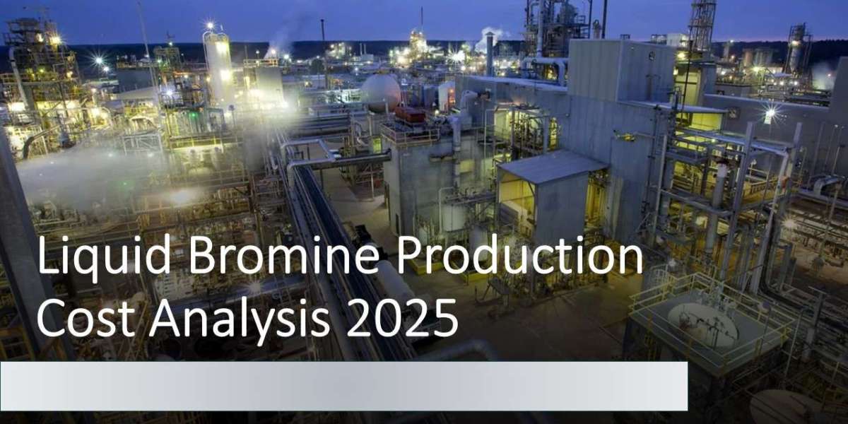 Liquid Bromine Production Cost Report 2025: Feasibility Study and Profit Analysis