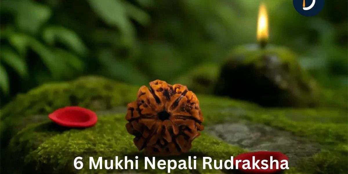 6 Mukhi Nepali Rudraksha For Courage and Positivity