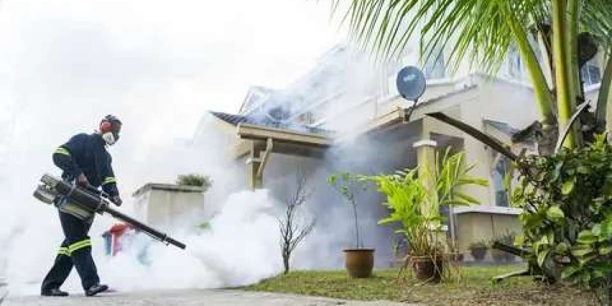 Is Your Home or Business Really Clean? Why Batavia Residents Trust Fogging Services