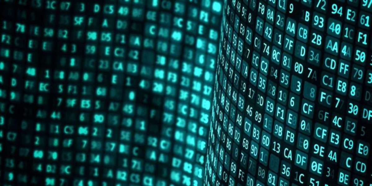 Unlocking Digital Growth: Why Businesses Choose to Rent IPv4 Address