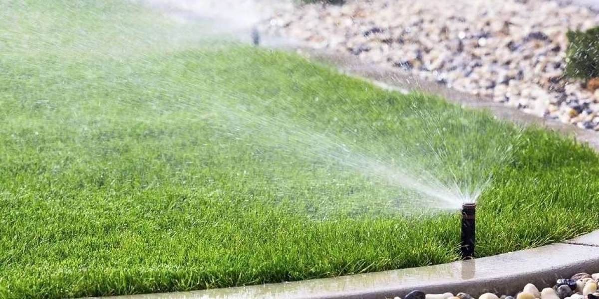 Benefits of Water-Efficient Irrigation Systems in Tucson