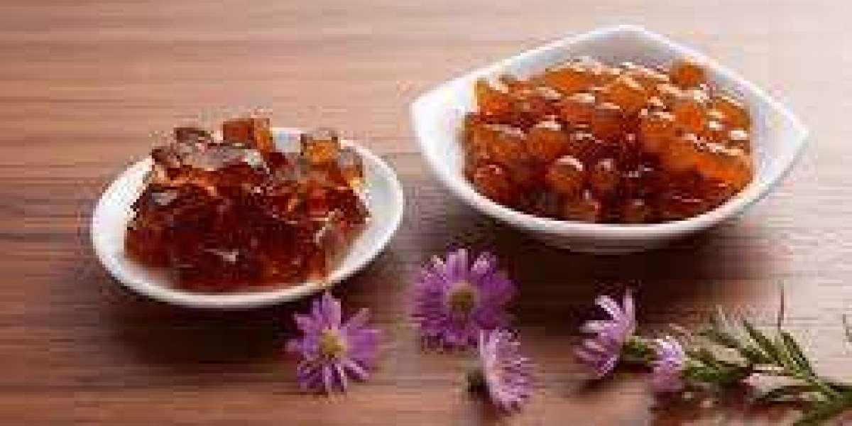 Konjac Jelly Market industry collaborations strengthen position within growing global plant based movement