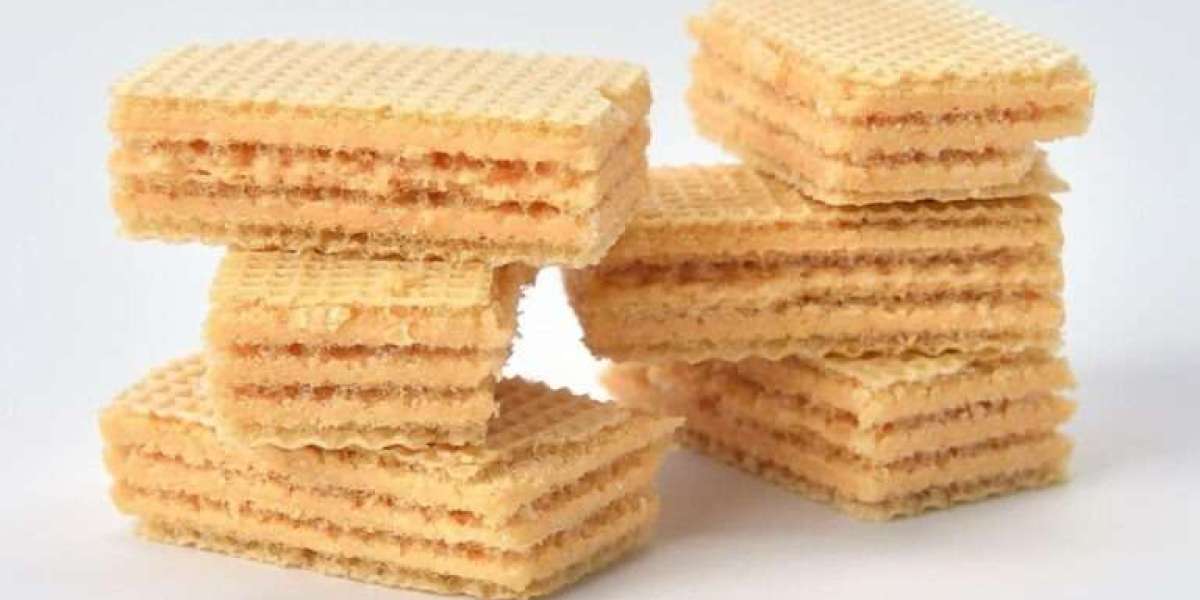 Keys to Running a Wafer Biscuit Manufacturing Plant Setup Report 2025: Cost Details