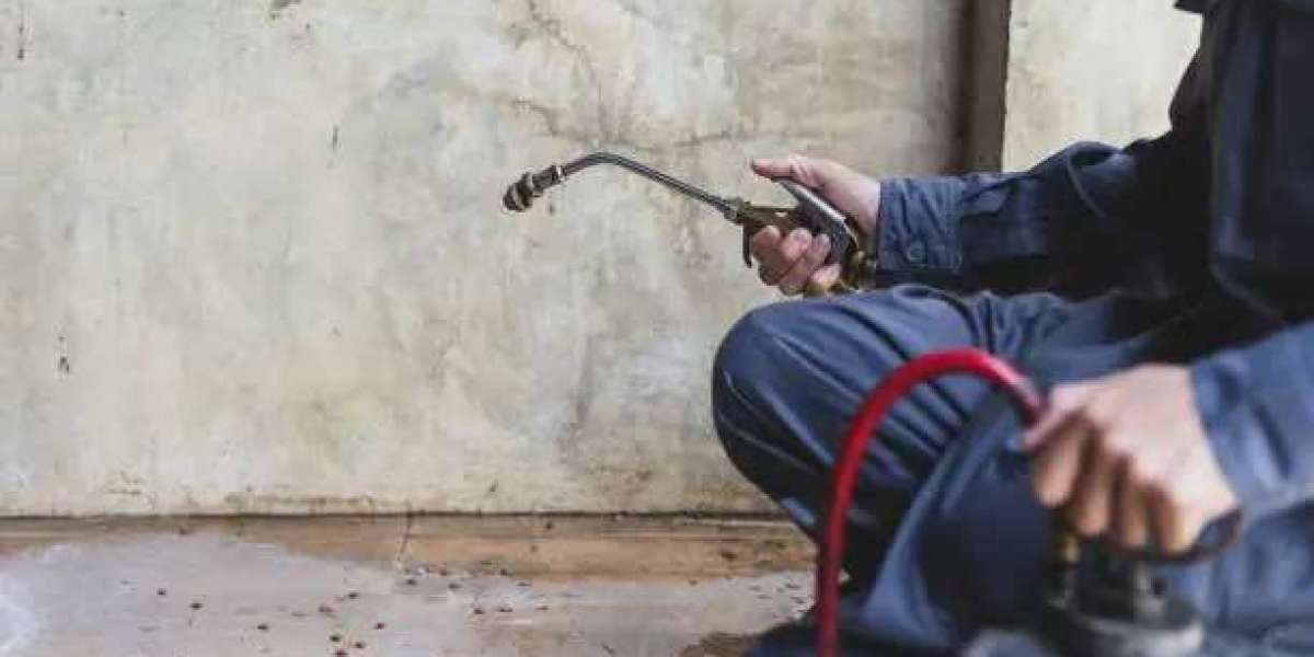 How Exterminator Melbourne Keeps Termites Away