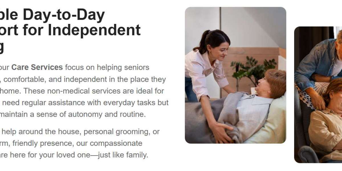 Home Health Care Services in Kirkland, WA | Veritas In-HomeCare