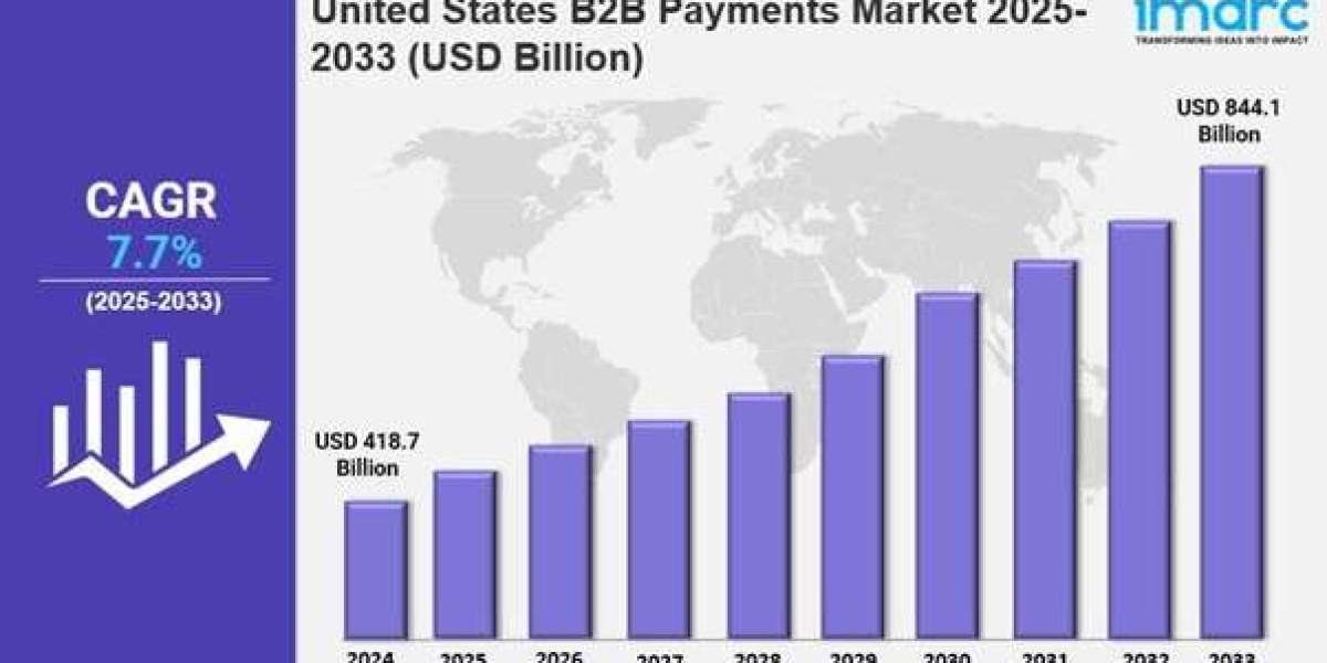 United States B2B Payments Market : Trends, Drivers, and Growth Opportunities 2025-2033