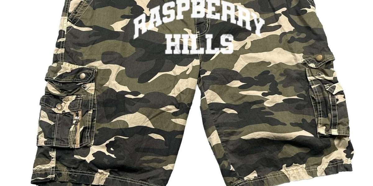 Introduction Step Into Streetwear with Raspberry Hills Camo Shorts