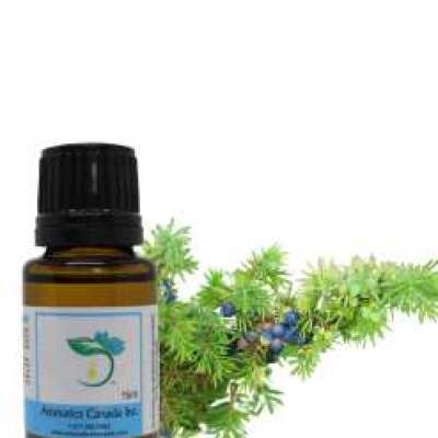 Juniper Berry Essential Oil Profile Picture
