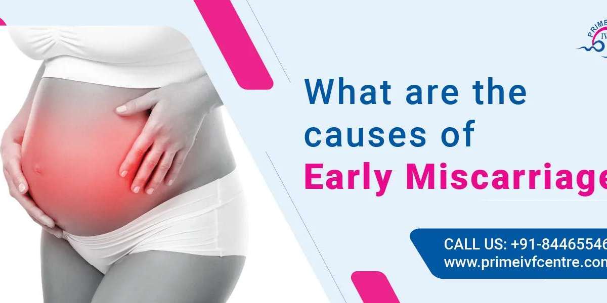 Early Miscarriage: What Are The Causes ? ivf doctor in delhi