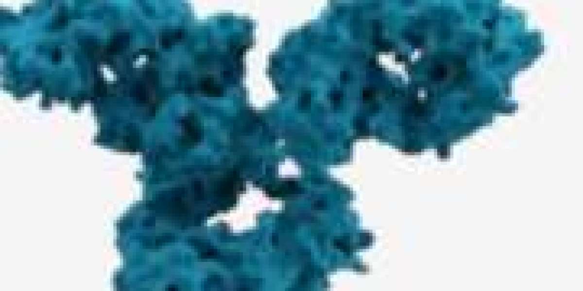 Understanding Immune Checkpoints: How Cosibelimab-ipdl Enhances Cancer Treatment