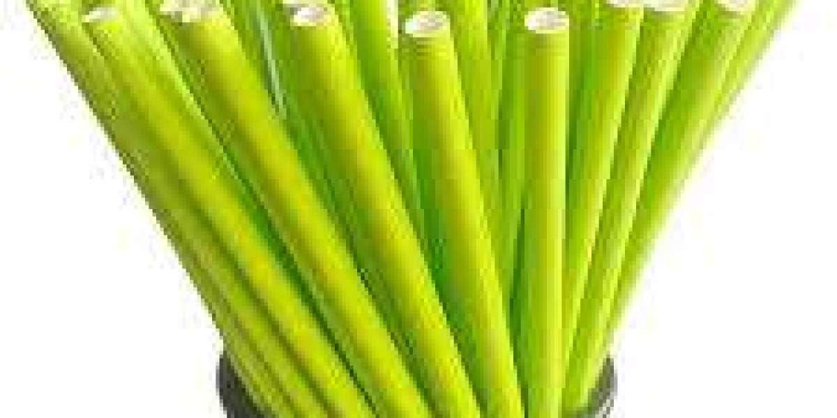 Eco-Friendly Straws Market Examination Revealing Investment Trends Supporting Green Manufacturing Technologies