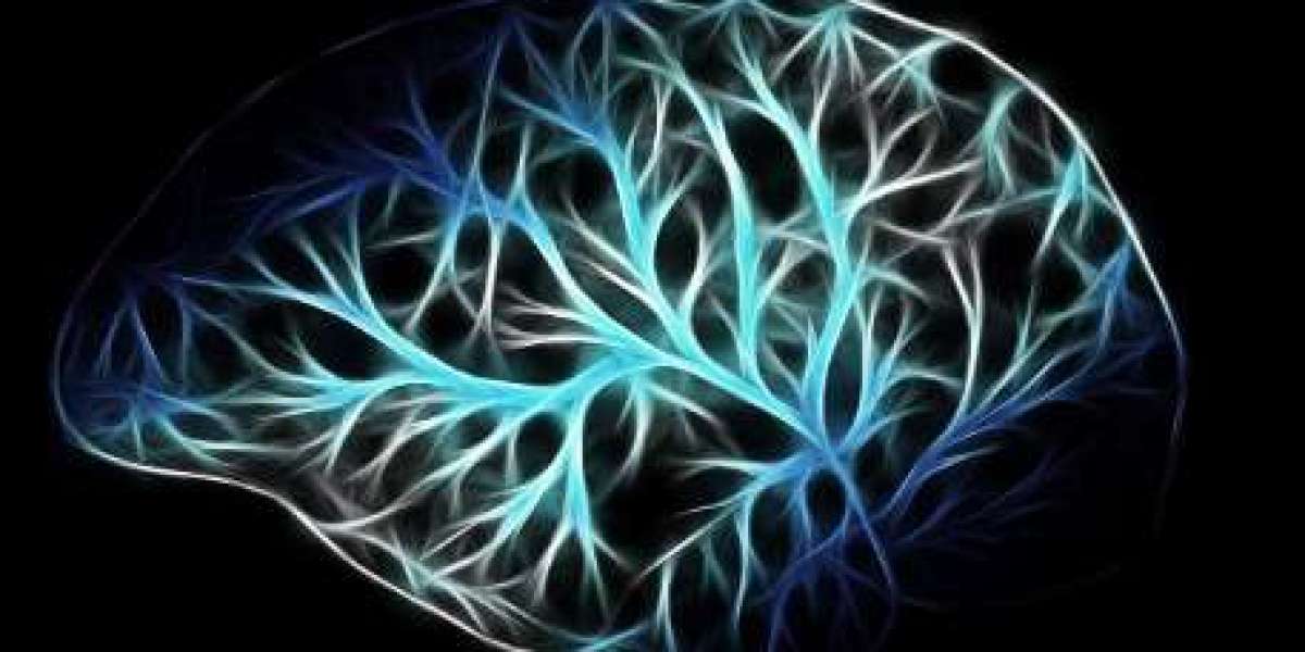 Mini Brains, Major Breakthroughs: How Organoids Are Revolutionizing Neuroscience