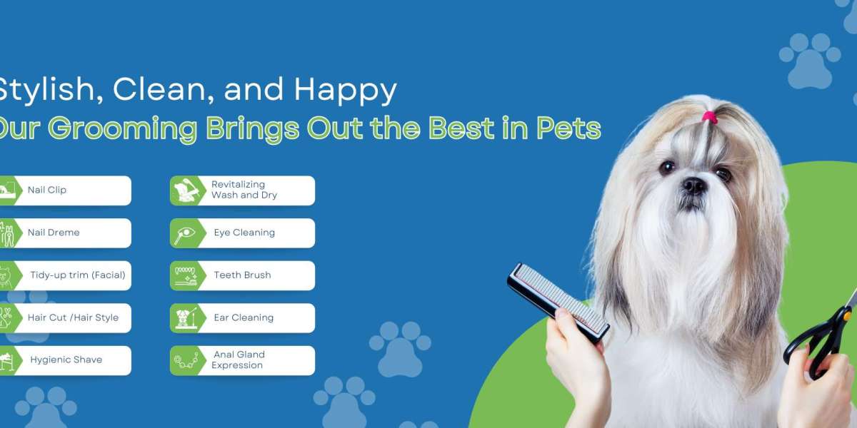 Comprehensive Guide to Mobile Pet Grooming and Specialized Services in Dubai