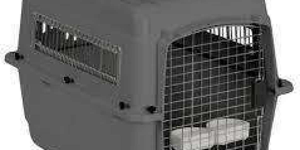 Pawtechpet Pet Carriers for Stress-Free Pet Journeys