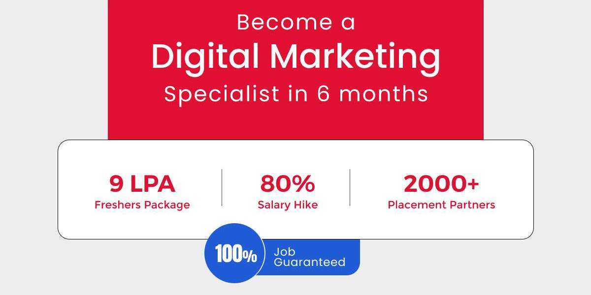 What are Meta Ads and how do you become a social media expert?