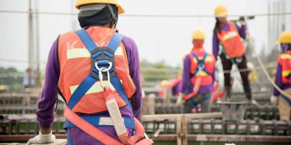 Innovative Harness Designs for Comfort and Safety