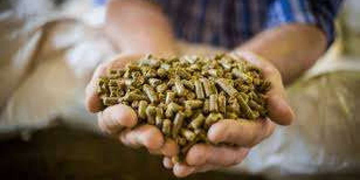 Animal feed additives market scenario reflects evolving global livestock industry needs