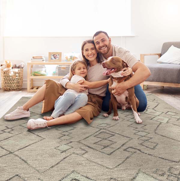 Brown Colored Rugs in USA | Brown Lounge & Multi Colored Area Rugs