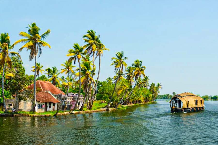 India Tours: Brief Guide to Explore the Serene Beauty of Kerala