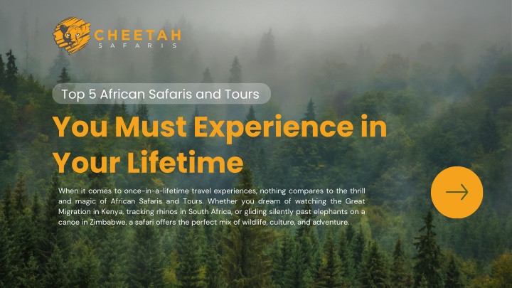 PPT - Top 5 African Safaris and Tours You Must Experience in Your Lifetime PowerPoint Presentation - ID:14539097