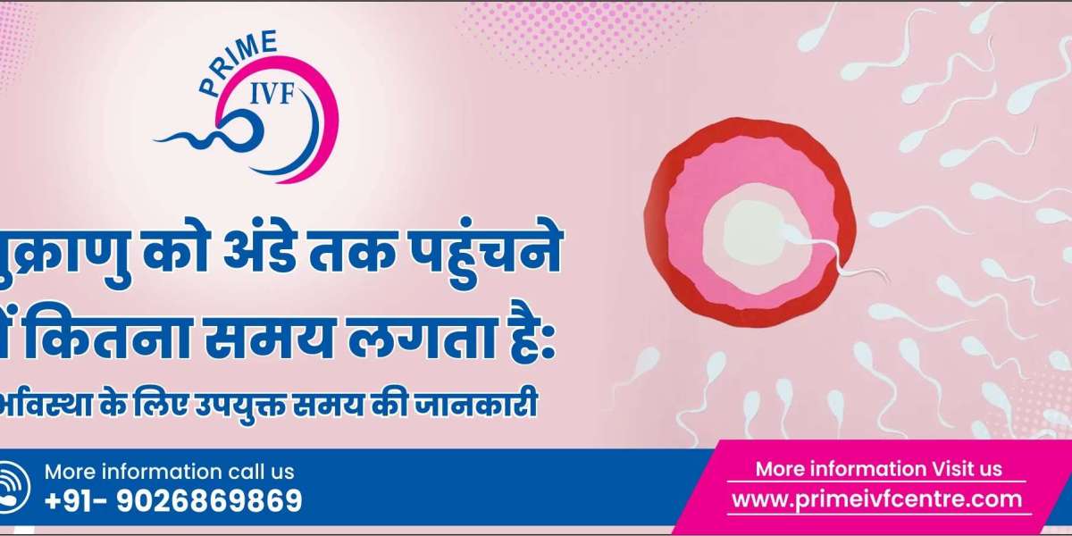 शुक्राणु को अंडे तक पहुंचने में कितना समय लगता है: गर्भावस्था के लिए उपयुक्त समय की जानकारी - Best IVF Centre in Delhi