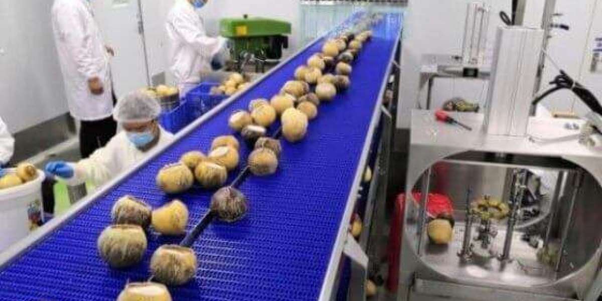 Coconut Water Manufacturing Plant Setup Cost 2025: Comprehensive Business Plan and Capital Investments.
