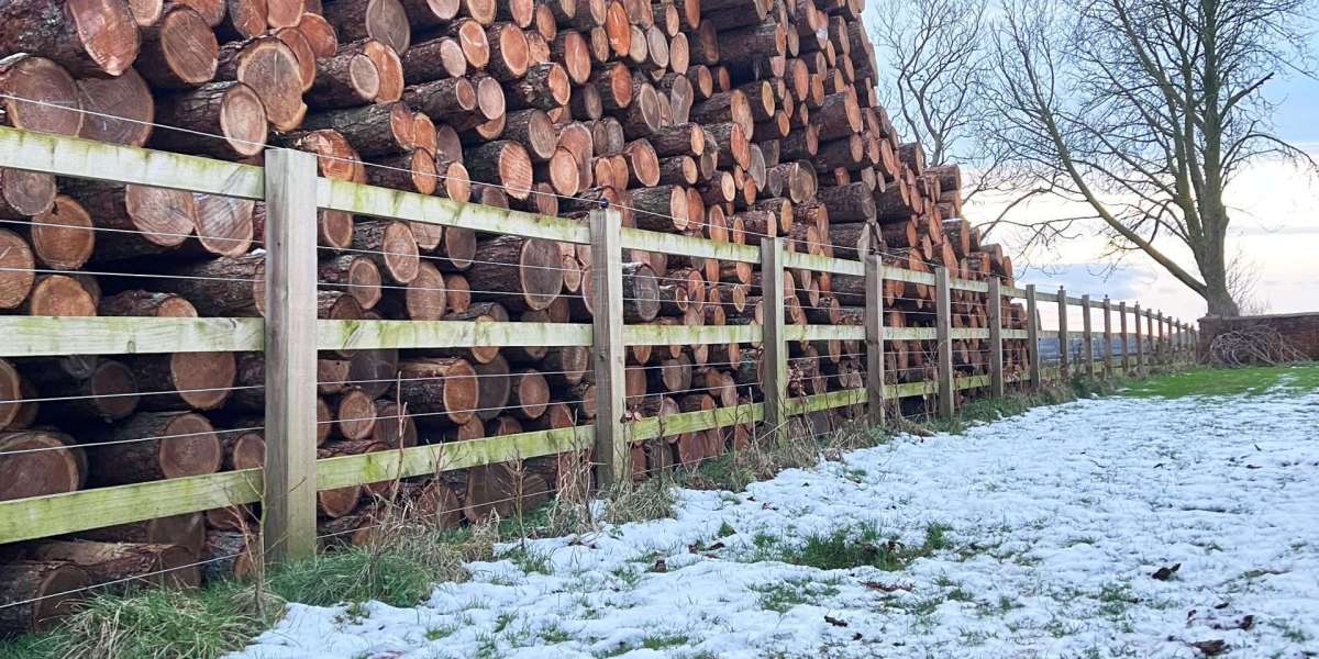 Best Kiln Dried Hardwood Logs – A Complete Guide