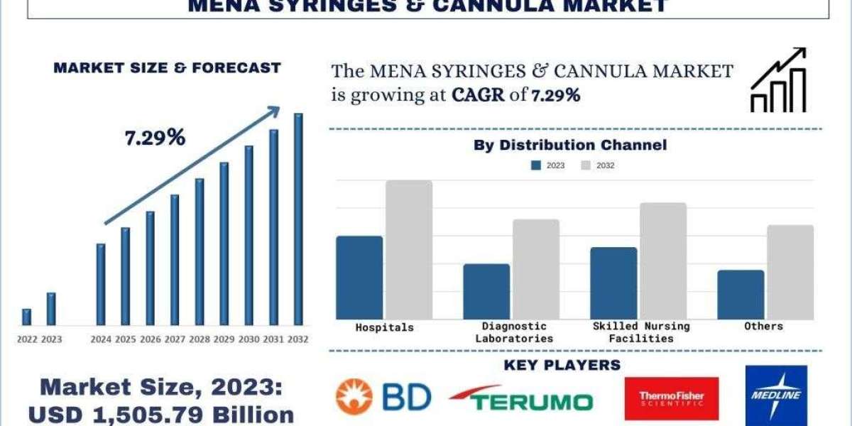 MENA Syringes & Cannula Market Report, Size, Trends Growth & Forecast 2032