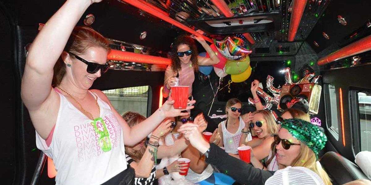 Top 5 San Jose Party Bus Rental Companies You Should Know About