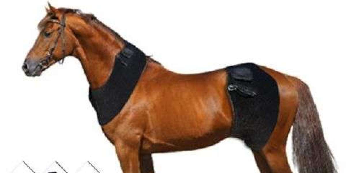 Enhance Equine Health with a Premium Equine Red Light Therapy Pad