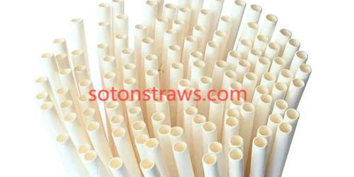 How Soton's Paper Straws Manufactory is Redefining Eco-Friendly Tools