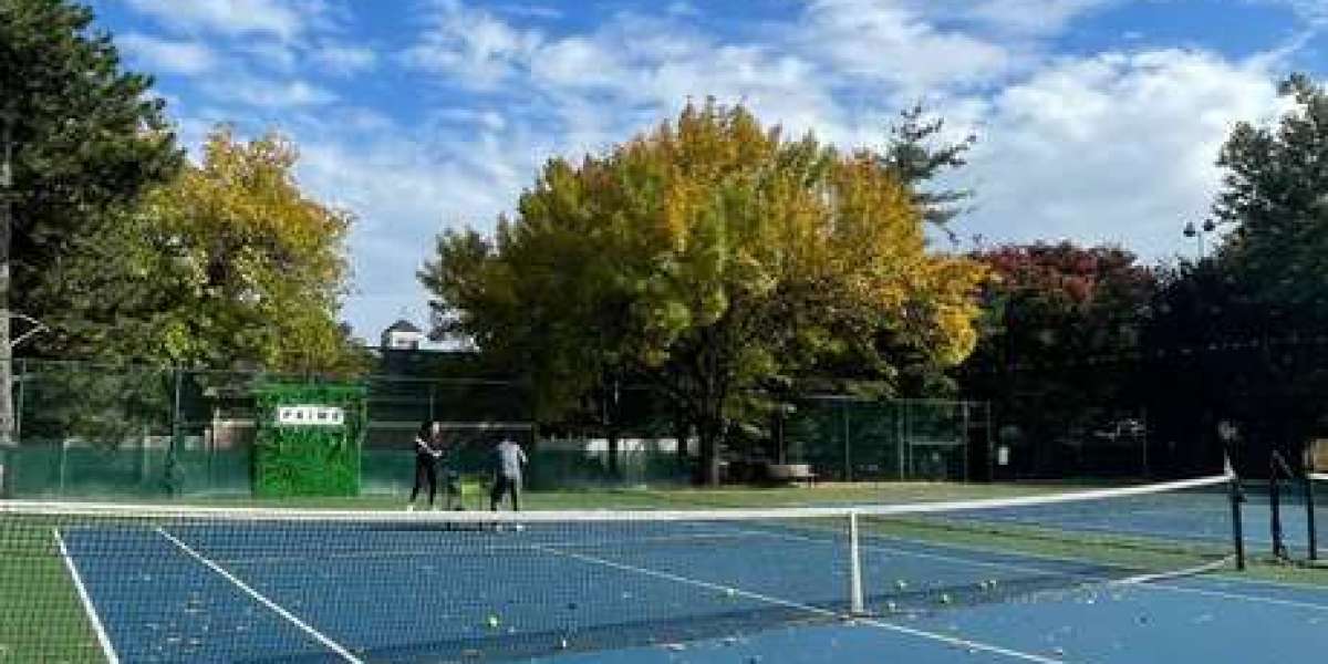 Edgewater Tennis: A Thriving Hub for Players of All Levels