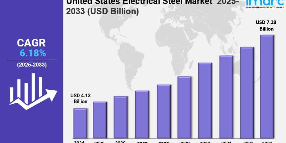 United States Electrical Steel Market Size, Share, Industry Overview, Latest Trends and Forecast 2025-2033