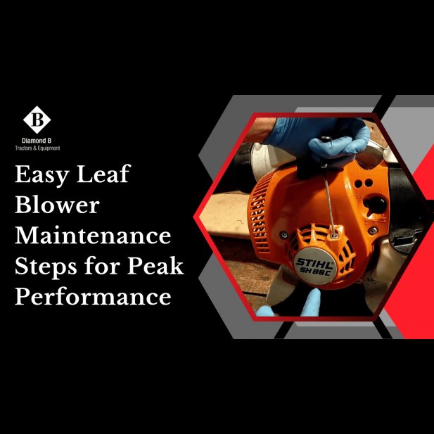 Easy Leaf Blower Maintenance Steps for Peak Performance Article - ArticleTed -  News and Articles