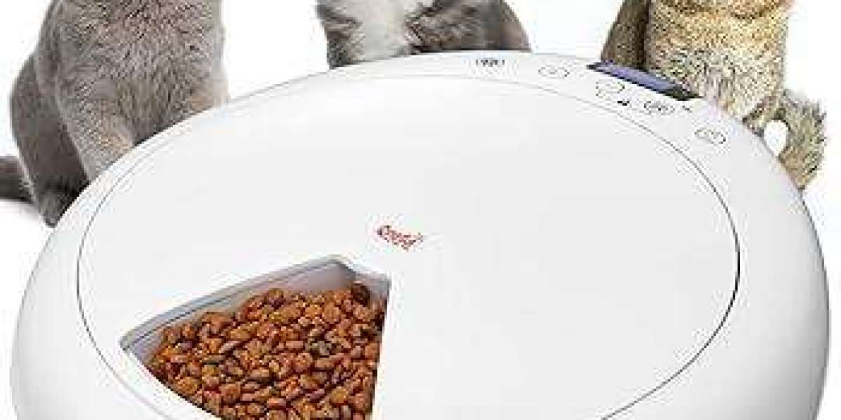 Pawtechpet Presents: The Essential Pet Feeder Experience